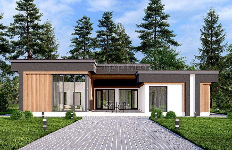 Одноэтажный дом с гаражом на две машины и внутренним двориком